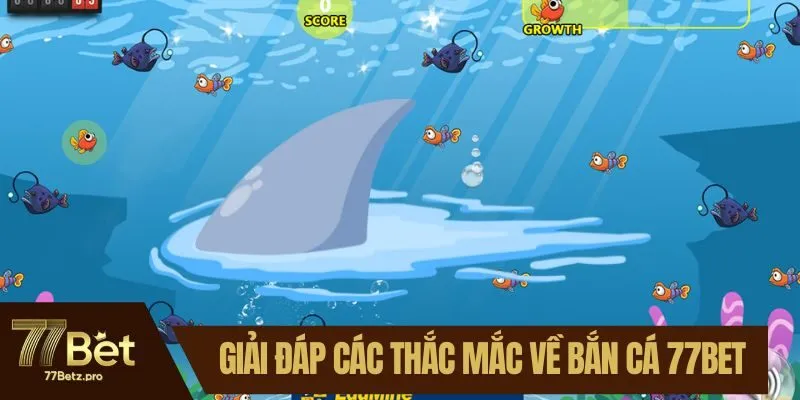 Giải đ&aacute;p c&aacute;c thắc mắc về bắn c&aacute; 77BET
